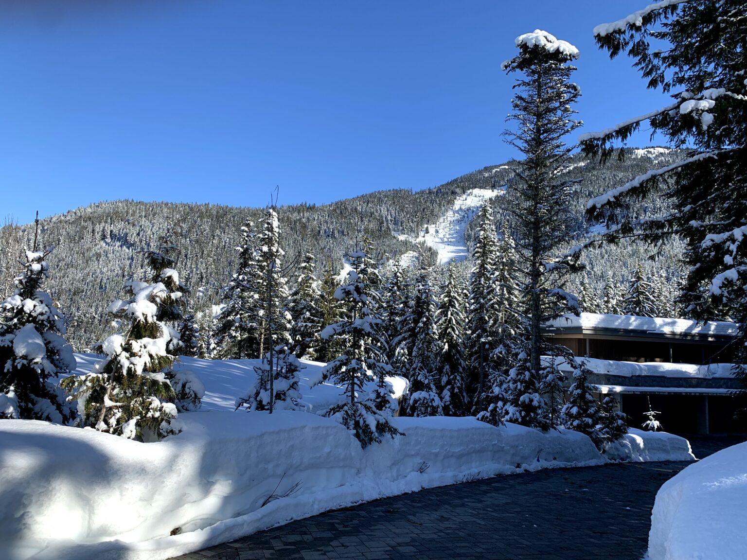 2024 Kadenwood Skiin Skiout Luxury Homes in Whistler, BC