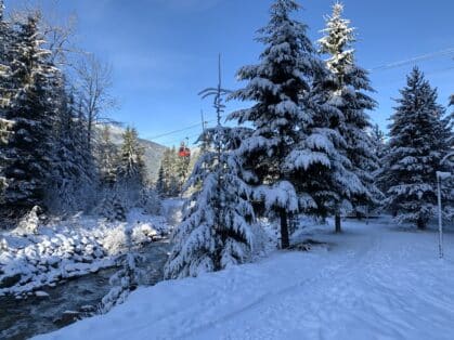 Snowy Creek winter view