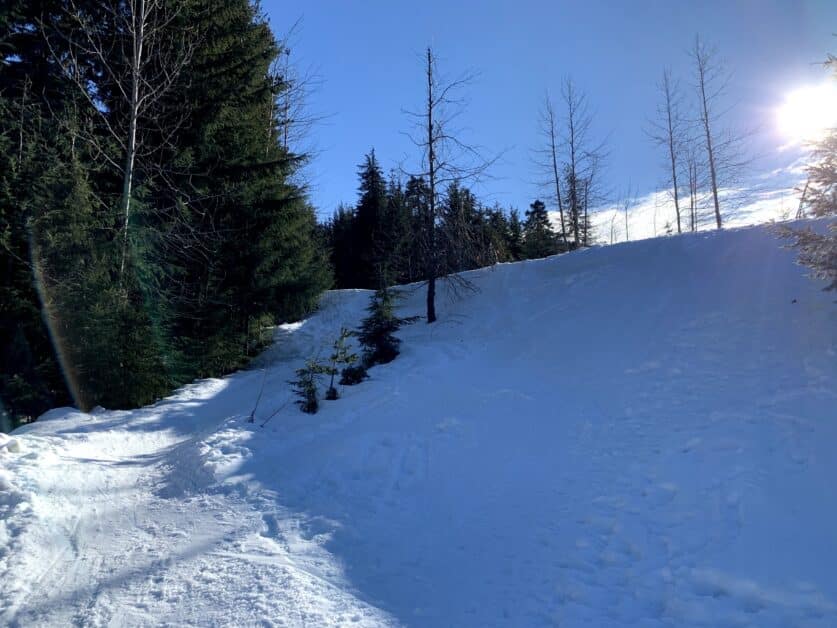 Snowy Creek ski-in and ski-out access