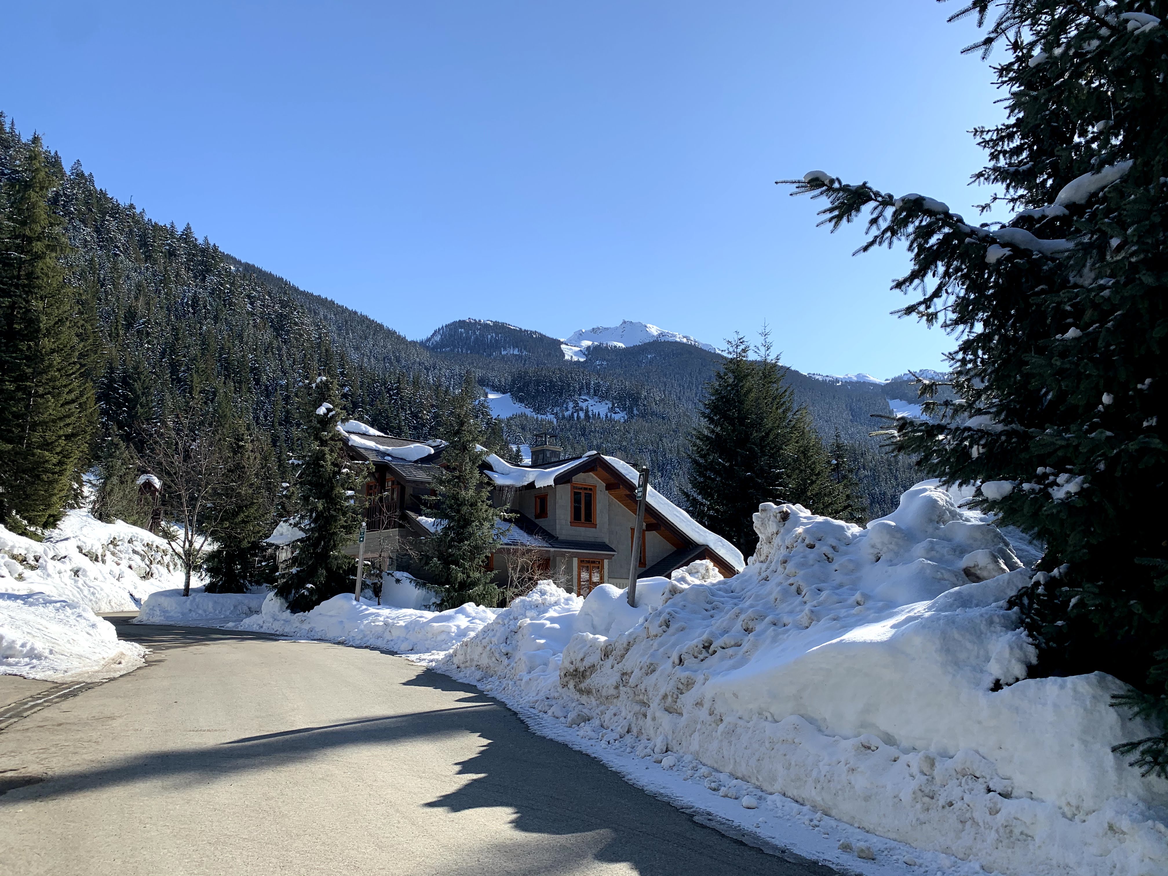 Lookout with Whistler Mountain in the background