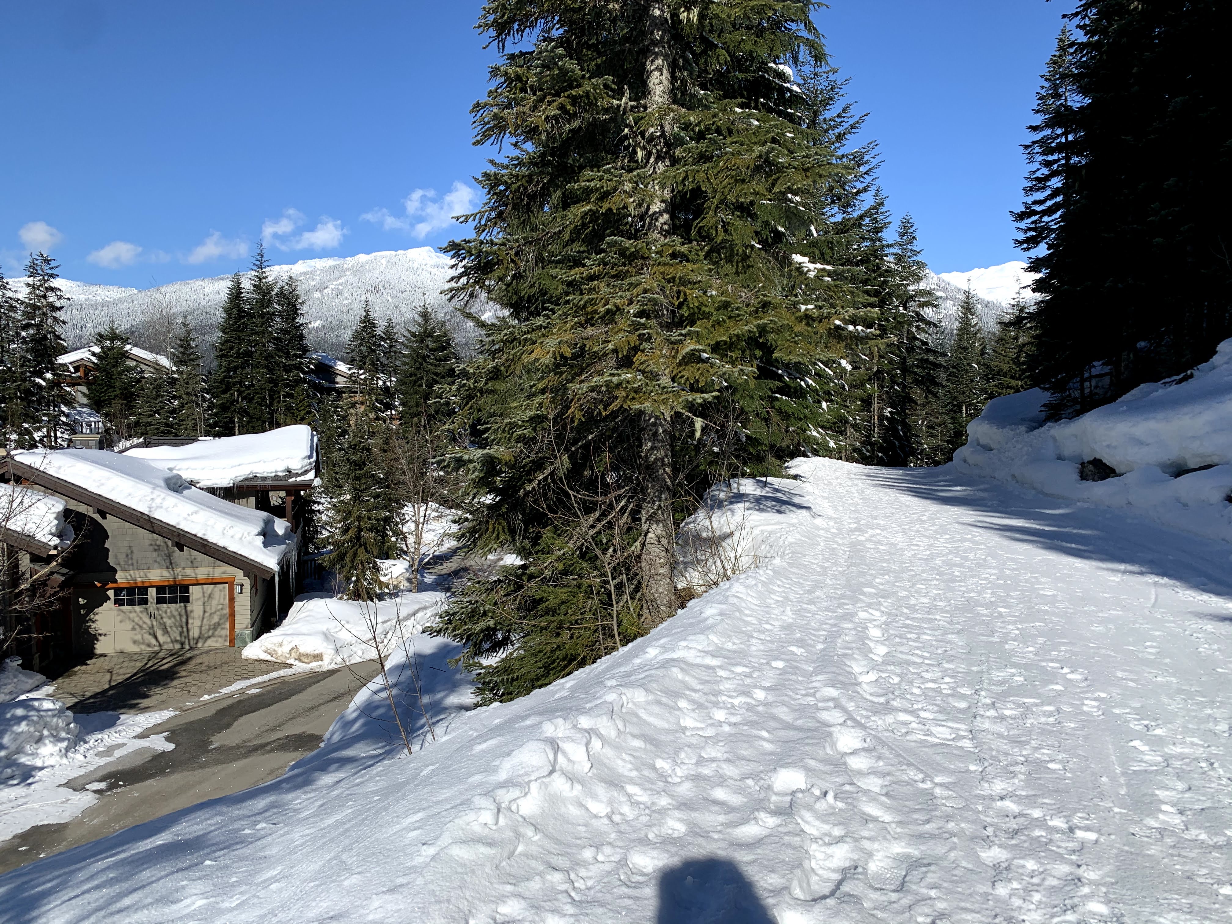 Ski out trail with the Lookout on the left