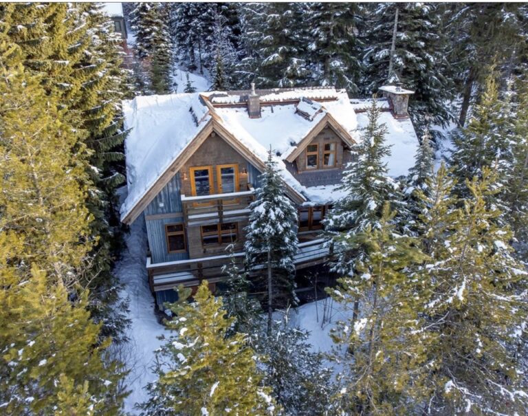 2024 Whistler Skiin Skiout Real Estate Listings for Sale